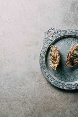 gri masa üzerinde metal tepsi üzerinde istiridye ve üstten görünüm