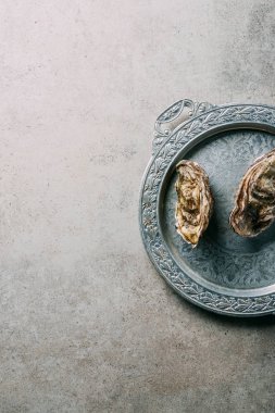 top view of oysters on metal tray on grey tabletop clipart