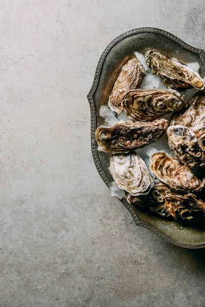 Flat Lay Oysters Metal Bowl Ice Grey Surface — Free Stock Photo