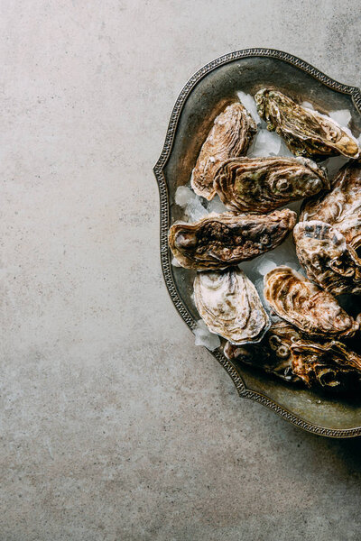 flat lay with oysters in metal bowl with ice on grey surface