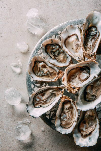 top view of oysters and ice in bowl on grey tabletop