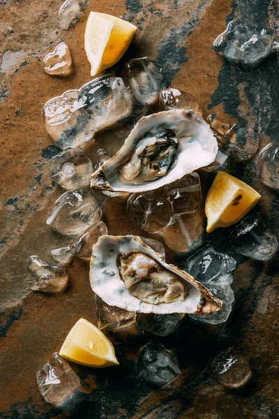 Food Composition Oysters Lemon Pieces Ice Grungy Tabletop — Stock Photo, Image
