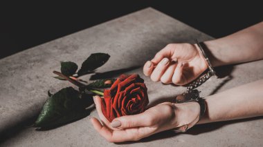 partial view of woman in metal handcuffs holding red rose flower isolated on black clipart