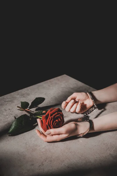 Gedeeltelijke Weergave Van Vrouw Metalen Handboeien Houden Rood Roze Bloem — Stockfoto