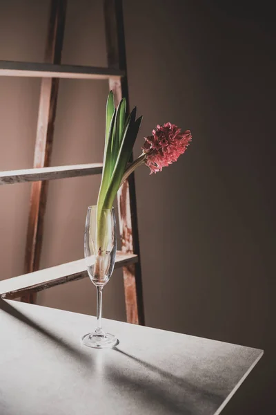 Rosa Fiori Giacinto Vetro Champagne Tavolo Pietra Con Scala Legno — Foto Stock