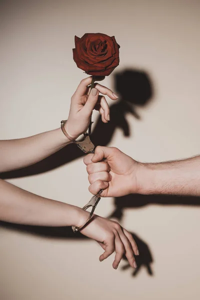 Partial View Woman Man Metal Handcuffs Holding Red Rose Flower — Stock Photo, Image