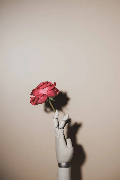 Pink Rose Flower Robotic Hand Beige Background — Stock Photo, Image