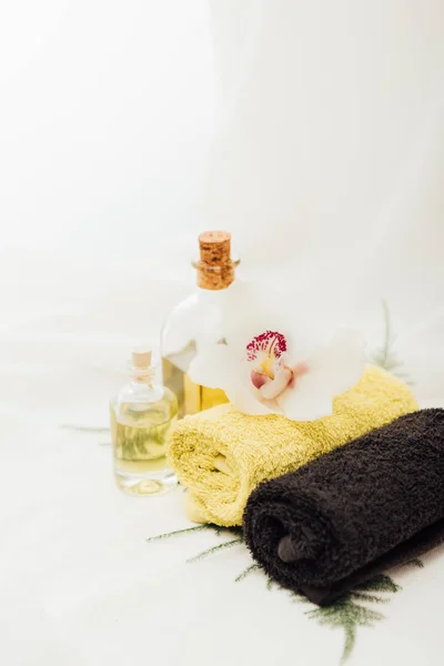 Close up view of arrangement of spa treatment accessories with oil and orchid flower on white background — Stock Photo