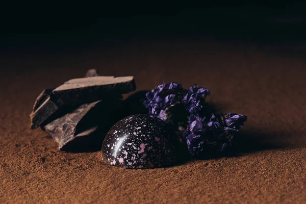 Closeup view of chocolate pieces and candy with dry flowers on surface with cocoa powder — Stock Photo