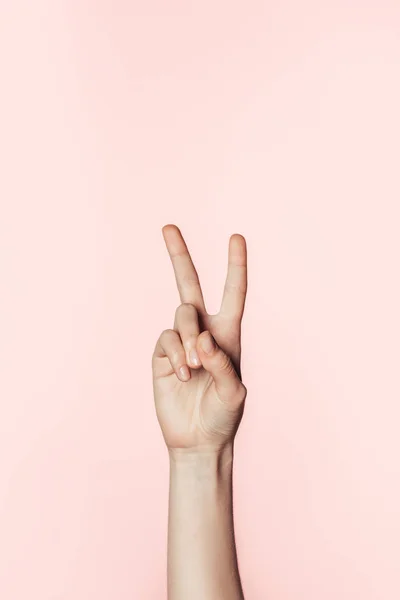 Обрізаний знімок жінки робить знак миру ізольований на рожевому фоні — стокове фото
