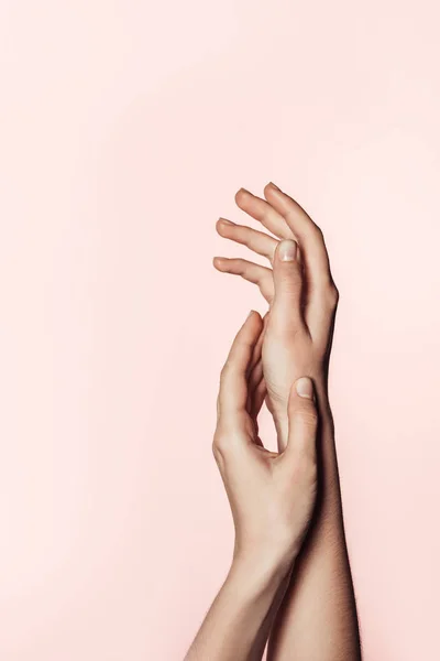 Tiro recortado de mãos femininas isoladas no fundo rosa — Fotografia de Stock