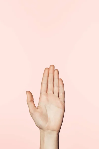 Imagem cortada de palma feminina isolada no fundo rosa — Fotografia de Stock