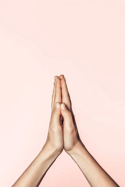 Cropped shot of female holding own palms together isolated on pink background — Stock Photo