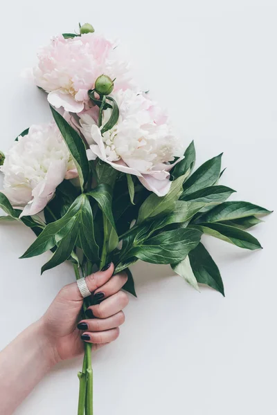 Vista recortada de la mujer sosteniendo ramo de peonía rosa claro en blanco - foto de stock