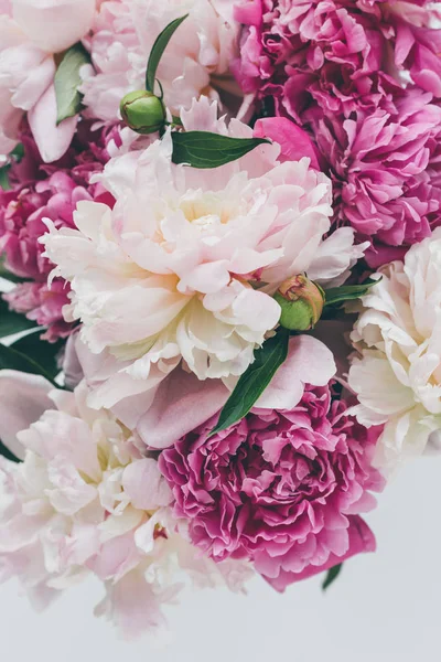 Вид на красивый розовый пион на фоне цветов — стоковое фото