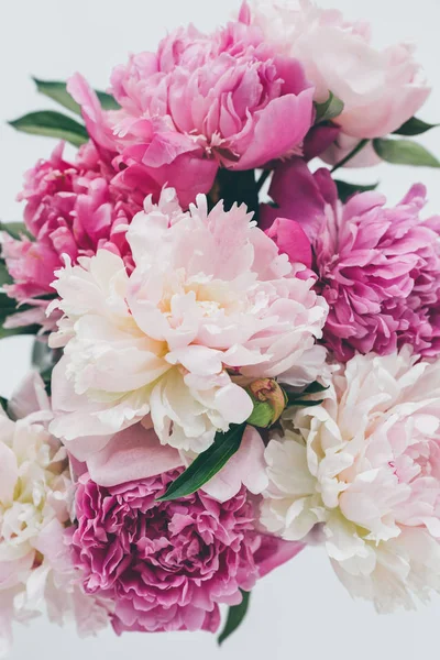 Vista superior de hermoso ramo de peonía rosa en blanco - foto de stock