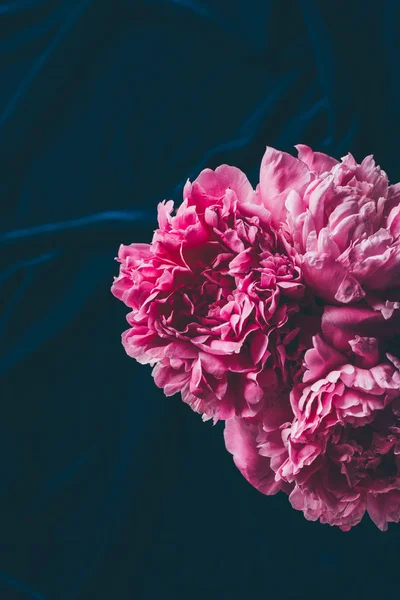 Vue de dessus des fleurs de pivoine rose sur tissu foncé — Photo de stock