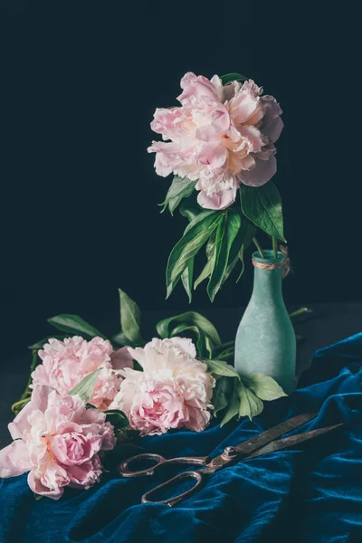 Bouquet of light pink peonies in vase with scissors on dark background — Stock Photo