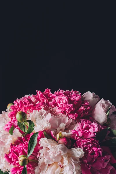 Festive pink peony bouquet, isolated on black with copy space — Stock Photo