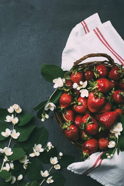 Vue de dessus des fraises fraîches mûres et de belles fleurs de jasmin sur noir — Photo de stock