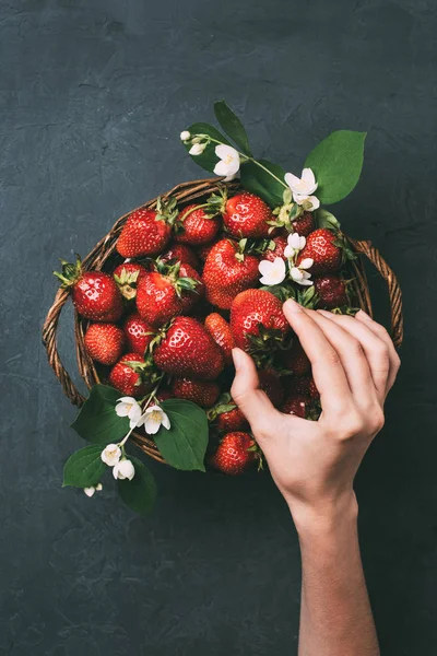 Abgeschnittene Aufnahme menschlicher Hand und frische reife Erdbeeren im Korb — Stockfoto