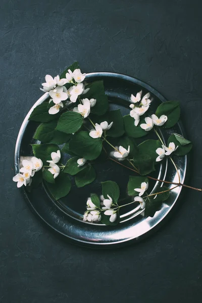 Вид зверху на красиві білі квіти жасмину на блискучій металевій пластині — стокове фото