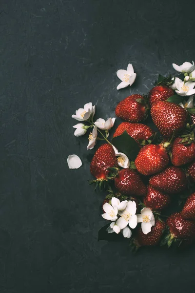 Top view of ripe red strawberries and jasmine flowers on black — Stock Photo