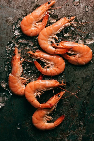 Elevated view of pile of shrimps with melting ice on rustic table — Stock Photo