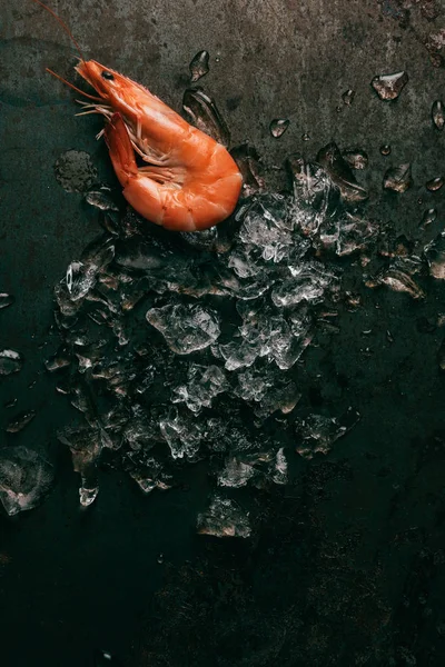 Vue surélevée des crevettes et de la fonte de la glace sur le plateau rustique — Photo de stock