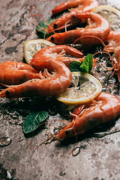 Nahaufnahme von Garnelen, Zitronenscheiben und Minzblättern mit schmelzendem Eis — Stockfoto