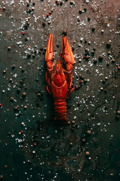 Crayfish with mint on table with salt and black pepper — Stock Photo