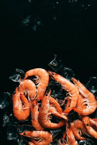 Vista superior de camarones y cubitos de hielo en la superficie oscura - foto de stock