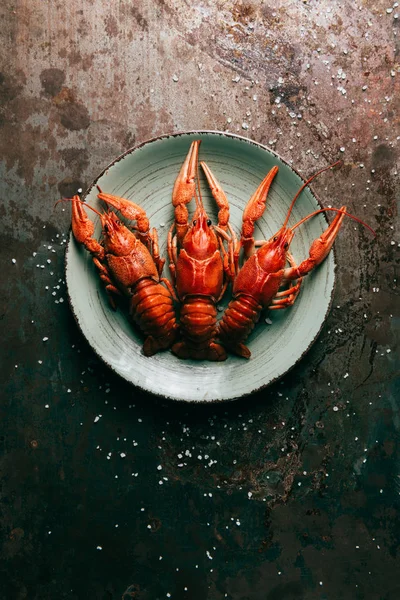 Elevated view of three crayfishes on plate on rustic table with salt — Stock Photo