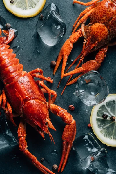 Vue rapprochée des écrevisses, tranches de citron, poivre noir et glaçons sur la table — Photo de stock