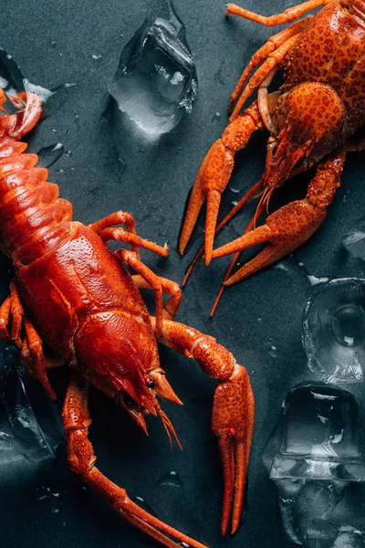 Vue rapprochée de deux écrevisses sur table avec des glaçons — Photo de stock