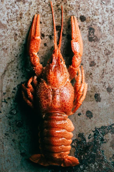 Closeup view of crayfish on grungy wooden tabletop — Stock Photo