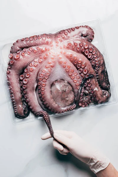 Top view of hand with big raw octopus in plastic container on light marble surface — Stock Photo