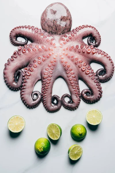 Top view of big octopus and limes on light marble surface — Stock Photo