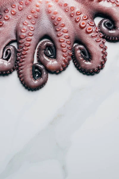 Vista dall'alto di tentacoli di grande polpo fresco sulla superficie di marmo — Foto stock