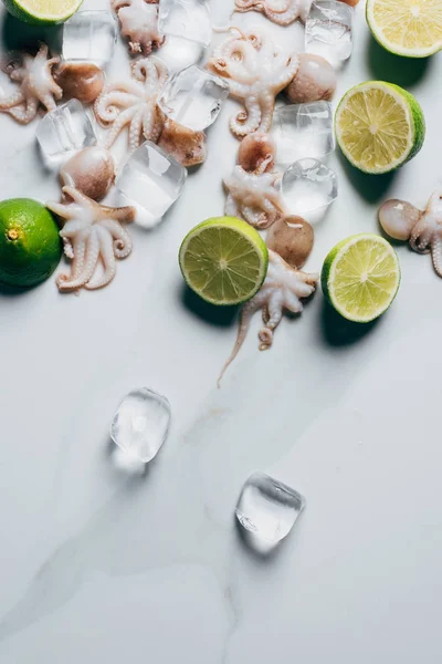 Top view of little octopuses with limes and ice cubes on light marble surface — Stock Photo