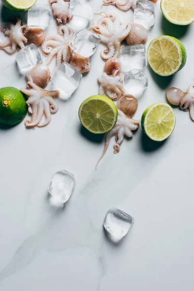 Vista superior de pequenos polvos com limas e cubos de gelo na superfície de mármore leve — Fotografia de Stock