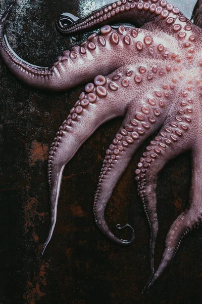Vue de dessus des grands tentacules bruts de pieuvre sur la surface métallique rouillée — Photo de stock