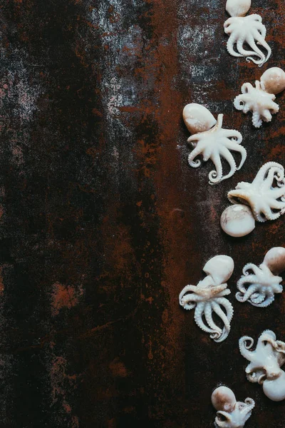 Top view of raw little octopuses on rusty metal surface with copy space — Stock Photo