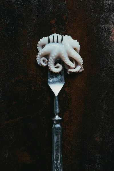Vue de dessus de la petite pieuvre brute à la fourche sur une surface métallique rouillée — Photo de stock