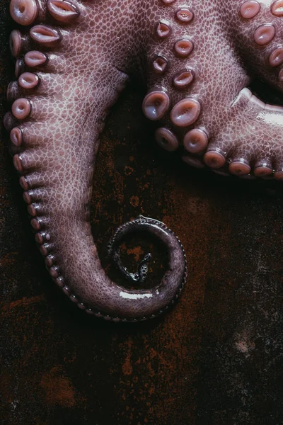 Vista superior de los tentáculos de pulpo sin cocer sobre una superficie metálica oxidada - foto de stock