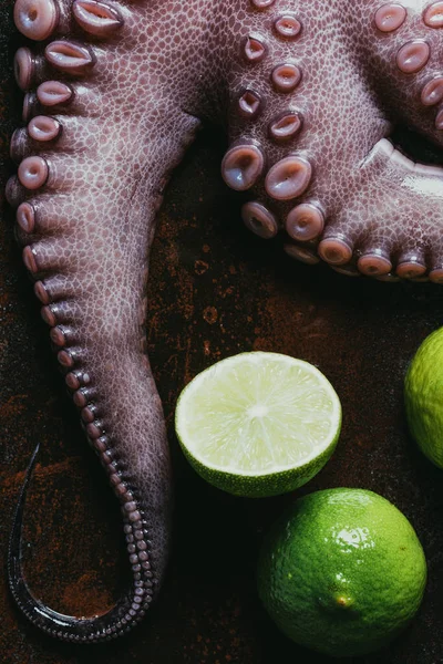 Draufsicht auf rohe Oktopus-Tentakel mit Limetten auf rostiger Oberfläche — Stockfoto
