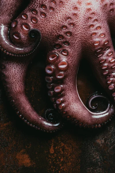 Top view of big raw octopus on rusty metal surface — Stock Photo