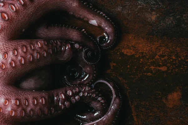 Vista dall'alto di grandi tentacoli di polpo sulla superficie metallica arrugginita — Foto stock