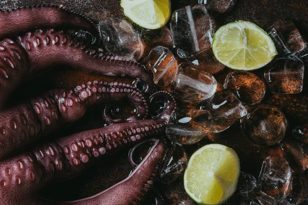 Top view of big uncooked octopus with ice cubes and limes — Stock Photo