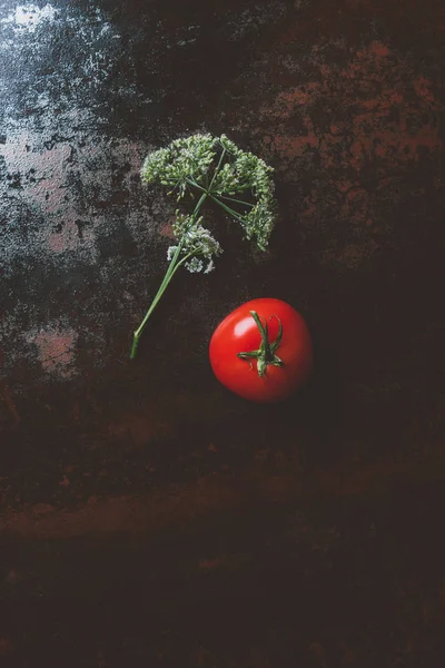 Vue du dessus de la tomate rouge et de la fleur de persil sur fond rouillé — Photo de stock